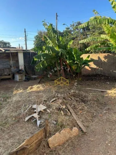 Terreno à venda, 319 m² por R$ 350.000,00 - Jardim das Oliveiras - Campinas/SP
