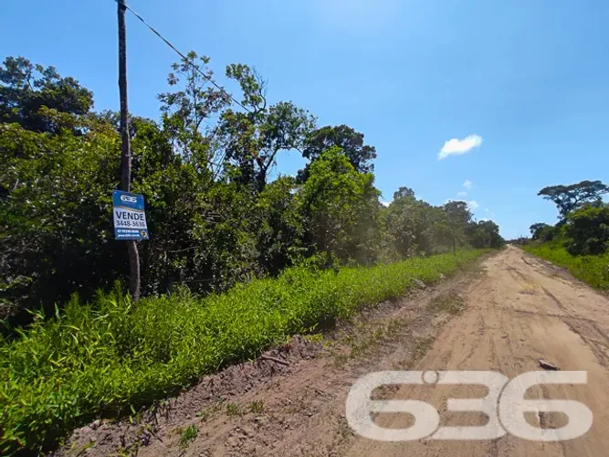 Terreno | São Francisco do Sul | Ervino