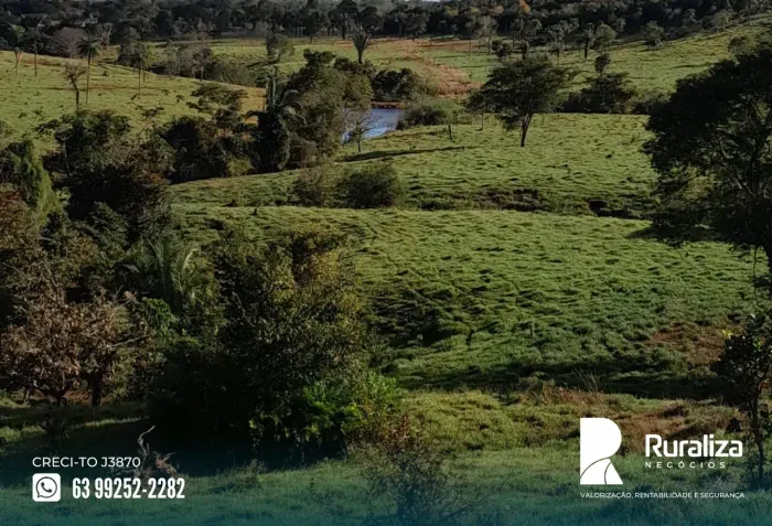 105 ALQUEIRES | 340 HA FORMADOS | CAPACIDADE PARA 700 BOIS
