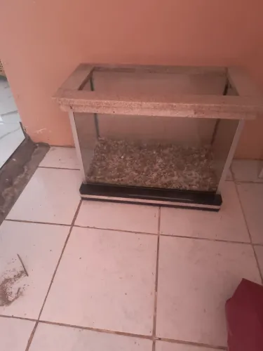 Vende se aquário para sua criação de peixes