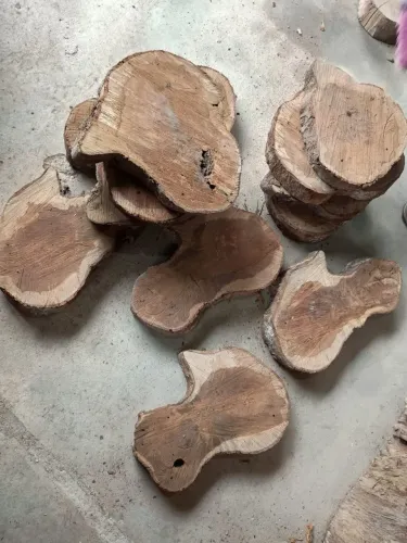 Madeiras ipê cedro peroba