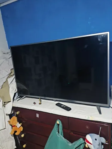 Televisão