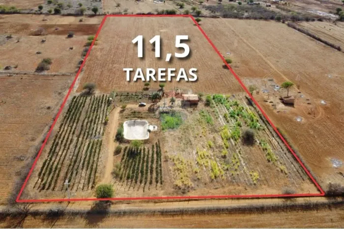 Propriedade Rural à venda  Povoado de Baraúna, Angical  Irecê/BA