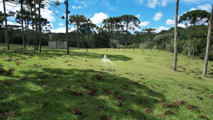 CHÁCARA À VENDA CAMPINA GRANDE DO SUL REF: 1553