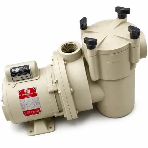 Filtro + Motobomba para Piscina EPEX c/ Motor WEG 1/4cv 220V