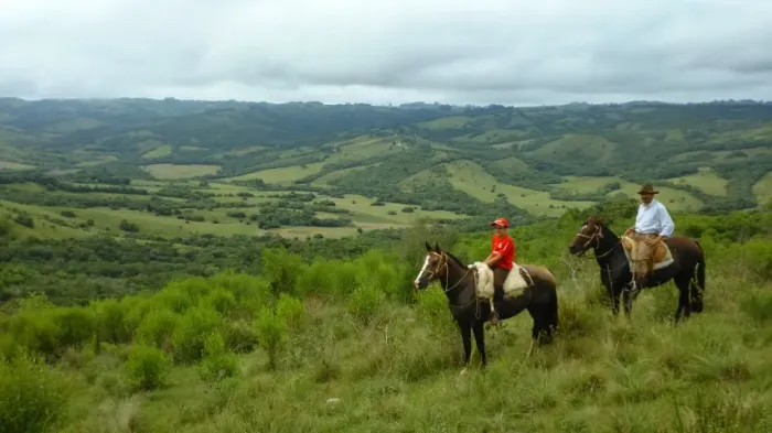 Fazenda Área de Terra Nua - 290 hectares