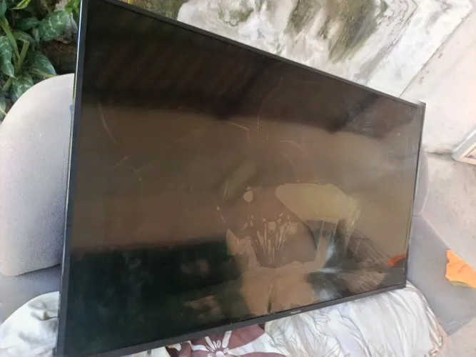 Tv Panasonic 55 polegadas 