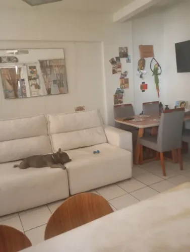 EXCELENTE APARTAMENTO NA PRAIA DE  SÃO VICENTE-S.P.