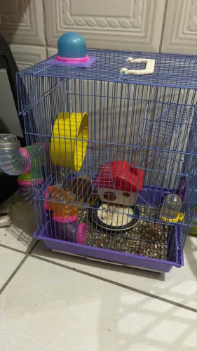 Casinha hamster 