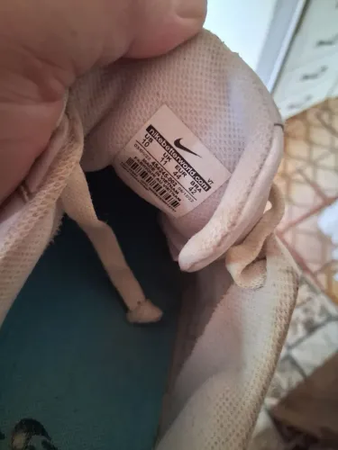 Tenis
