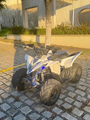 Mini Quadriciclo Fun Motors Rhino 110cc 