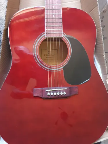 Violão Giannini Elétrico aço(novo)