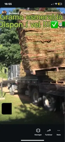 caminhão grama