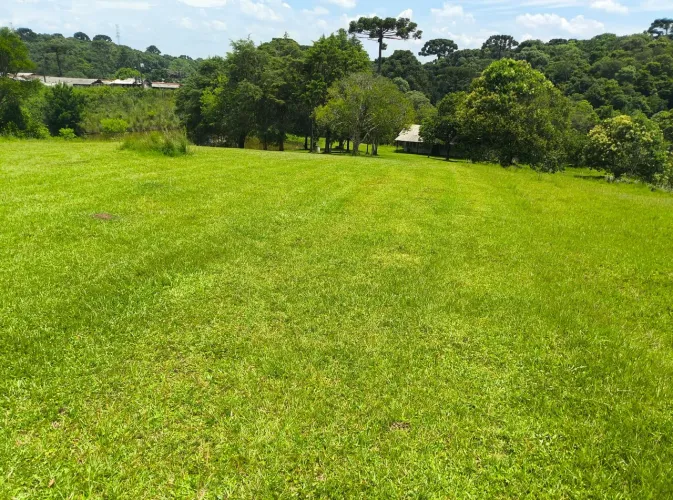Alugo chacara linda