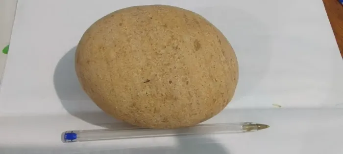PEDRA OVOIDE NATURAL Formato de Ovo ?978g ? 11cm ? Pedra de Rio ? Rara!