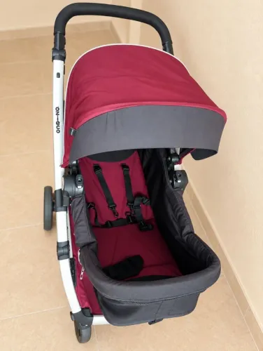 Carrinho de Bebê Dzieco Ecco Moisés