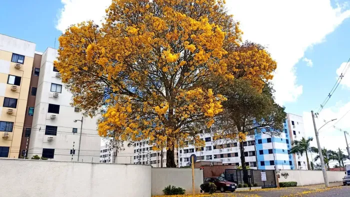 VENDE-SE REPASSE DE APARTAMENTO COM 3/4 SENDO UMA SUÍTE E DUAS VAGAS DE GARAGEM NO RES. MO