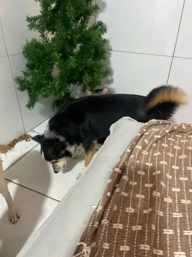 Doação responsável boa viagem