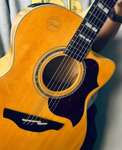 Eg 525 Takamine 