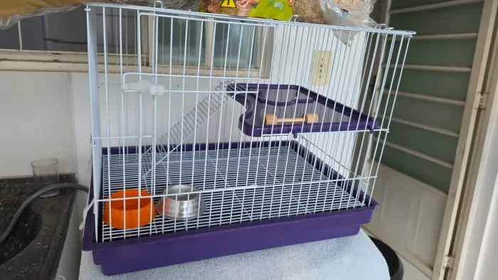 Gaiola para Coelho - Hamster - Porquinho da Índia 