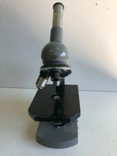 Microscopio Olympus Tokio
