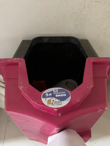 Casinha de cachorro