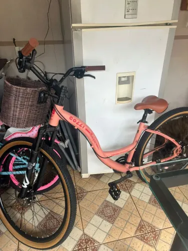 Bicicleta feminina