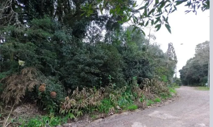 Terreno no Bairro Vila são Bernardo em São Francisco de Paula