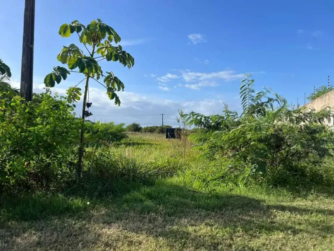 TERREOS NO SÃO JOSÉ DOS NÁUFRAGOS [33038]