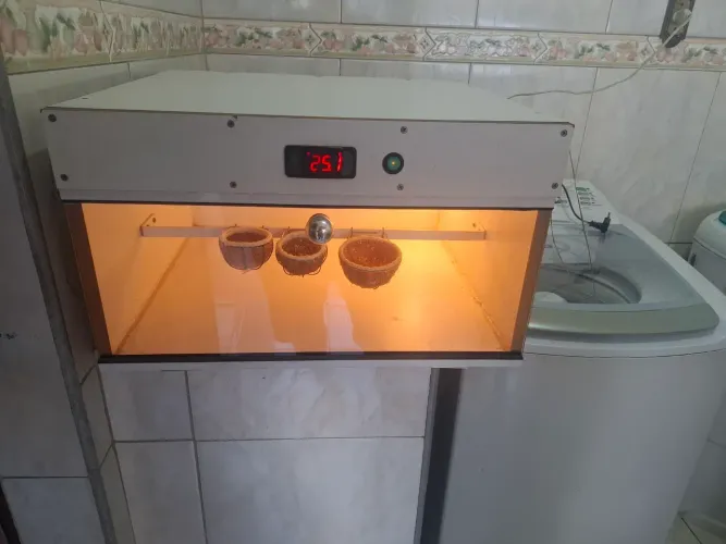 Estufa para pássaros