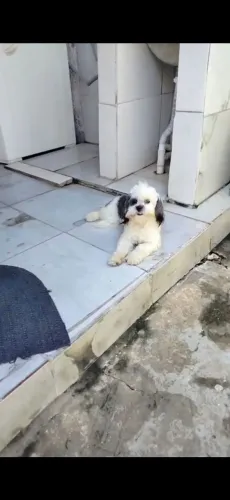 Doação 