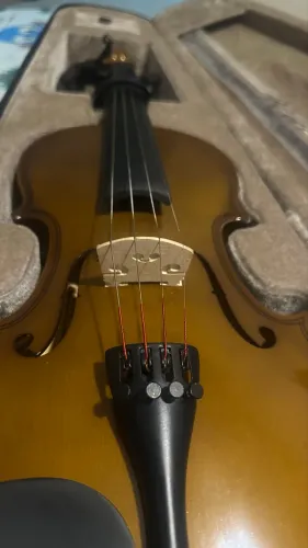 Violino 4/4