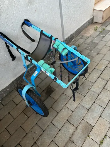 Cadeira para cachorro