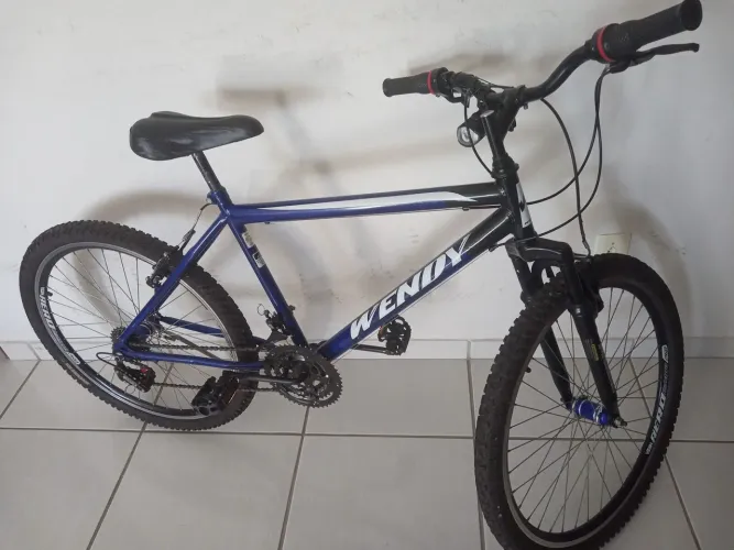 Bicicleta Semi aro 29