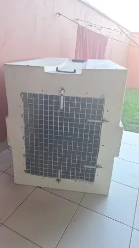 Caixa de Transporte PET ExtraGG