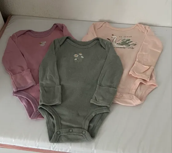 Body Carters