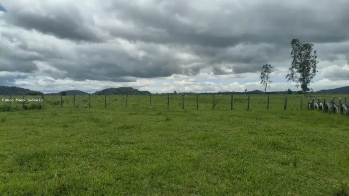 Fazenda para Venda em Rio Bonito, Área Rural de Rio Bonito, 2 dormitórios, 1 banheiro, 2 v