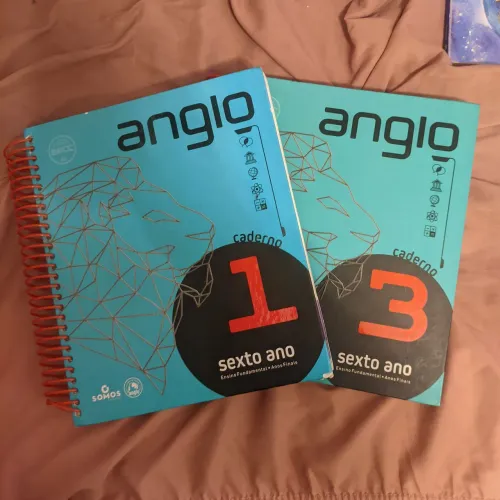 Caderno Ensino Anglo Sexto Ano 1 e 3