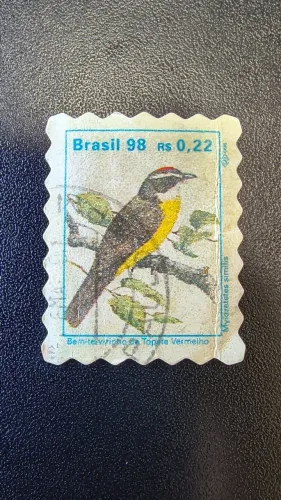 Selo Brasil 98 Bem-te-vizinho de Topete Vermelho (Usado)