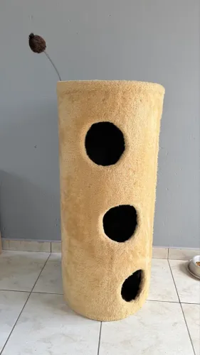Cama de gato
