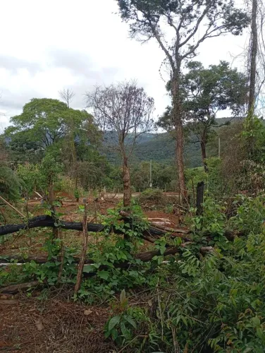 Chácara à venda, 1332 m² por R$ 140.000,00 - Parque Do Lago - Itatiaiuçu/MG