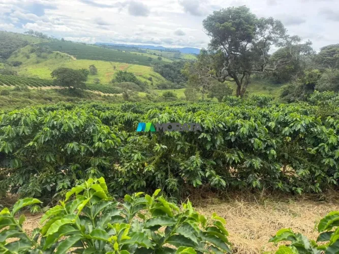 FAZENDA À VENDA - 60 HECTARES - PIUMHI (MG)