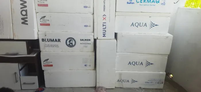 Caixas de Isopor para diversos - Novas e em Ótimo Estado!