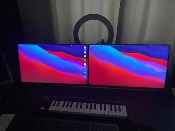 Monitores Dell P2319h