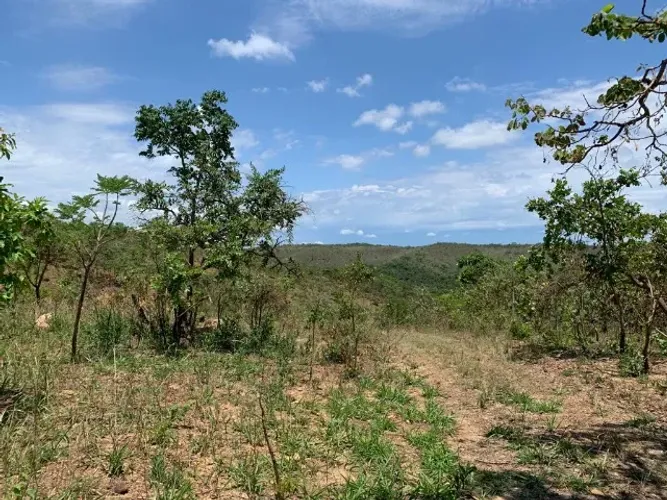  Terreno rural 7.8ha, casa antiga, barracão, arvores frutíferas, 2 nascentes,2 lagoas, Jab