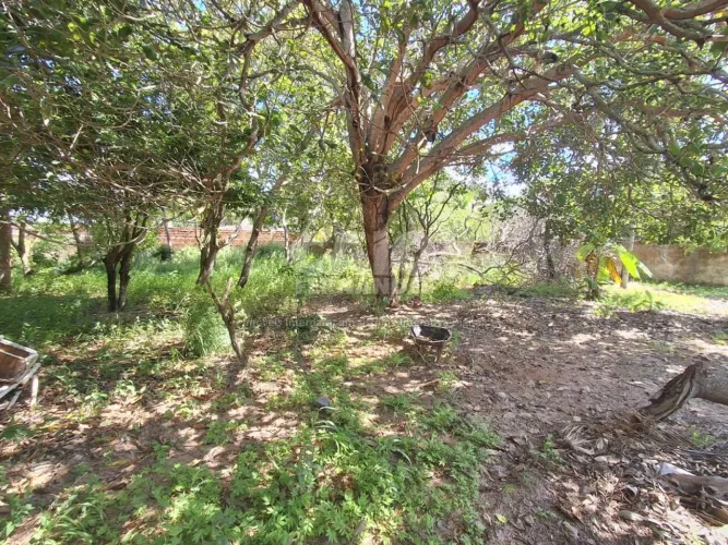 Terreno em Ponta Negra