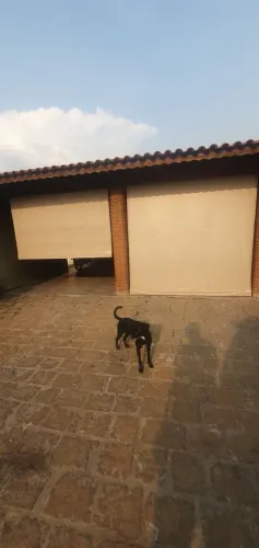 Toldos retráteis para área externa