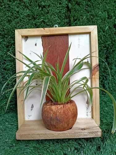Lindo par de quadrinhos decorativos em pátina com vasinhos de côco 