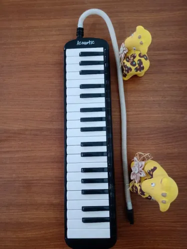 Escaleta 37 teclas 3 oitavas (Quantidade igual ao acordeon 80 baixos)