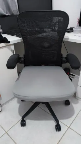 Cadeira Ergonômica DT3 6 meses de uso (desde 15/04/2025)